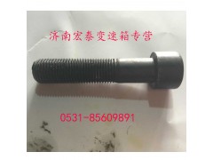 AZ9003821250,內(nèi)六角圓柱頭螺釘,濟(jì)南宏泰變速箱專營(yíng)店