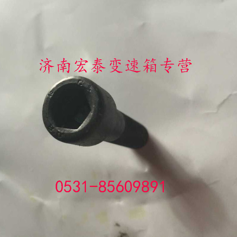 AZ9003821250,內(nèi)六角圓柱頭螺釘,濟(jì)南宏泰變速箱專營(yíng)店