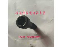 AZ9003821250,內(nèi)六角圓柱頭螺釘,濟(jì)南宏泰變速箱專營(yíng)店