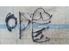 612630080146,傳感器線束,濟(jì)南約書(shū)亞汽車(chē)配件有限公司（原華魯信業(yè)）