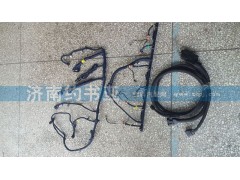 DZ93189774564,整車過(guò)渡線束,濟(jì)南約書亞汽車配件有限公司（原華魯信業(yè)）