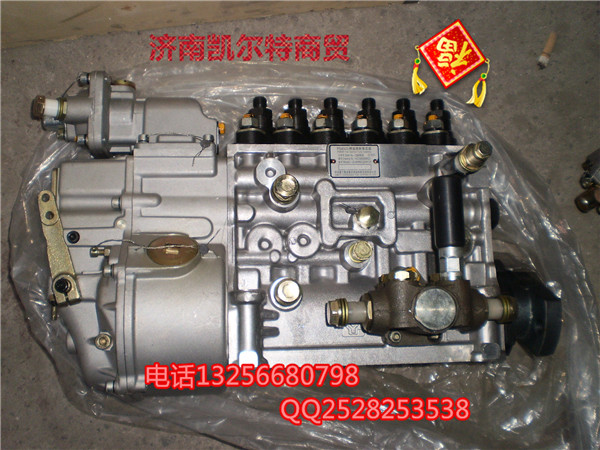 VG1560080021,國產(chǎn)高壓噴油泵帶K型調(diào)速器,濟(jì)南凱爾特商貿(mào)有限公司