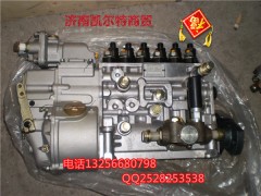 VG1560080021,國產(chǎn)高壓噴油泵帶K型調(diào)速器,濟(jì)南凱爾特商貿(mào)有限公司