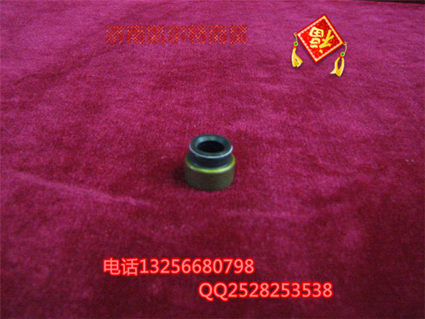 VG2600040114,氣門閥桿密封套,濟南凱爾特商貿(mào)有限公司