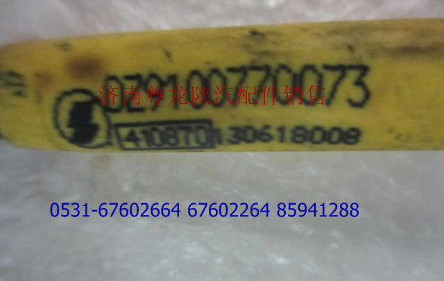 DZ9100770073,倒車蜂鳴器電線束,濟(jì)南尊龍(原天盛)陜汽配件銷售有限公司