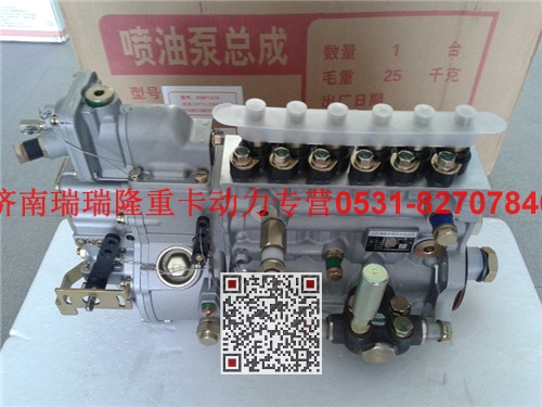 612600081145,高壓油泵,濟南瑞隆工貿(mào)重卡動力專營