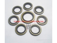 90003098044,密封墊圈,濟(jì)南瑞隆工貿(mào)重卡動力專營