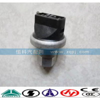 WG1200190040空濾器堵塞開關(guān)