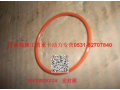 VG61000010134,密封圈,濟(jì)南瑞隆工貿(mào)重卡動(dòng)力專營