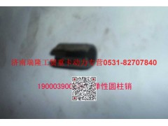90003900085,彈性圓柱銷,濟南瑞隆工貿重卡動力專營