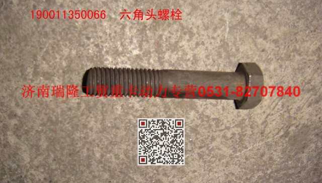 190011350066,六角頭螺栓,濟(jì)南瑞隆工貿(mào)重卡動(dòng)力專營