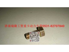 190011270032,六角頭螺栓,濟(jì)南瑞隆工貿(mào)重卡動(dòng)力專(zhuān)營(yíng)