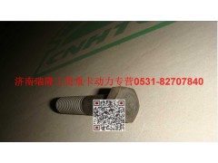 190011350058,六角頭螺栓,濟南瑞隆工貿(mào)重卡動力專營