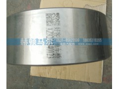 AZ9231340123,內(nèi)齒圈支架,山東赫頓馬爾國際貿(mào)易有限公司