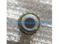 DZ93189582550,后制動燈開關(guān) 剎車燈開關(guān),濟南匯達汽配銷售中心