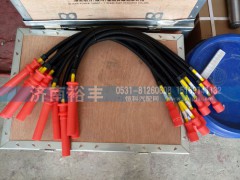 612600190948,高壓線束612600190948,濟(jì)南裕豐汽車配件銷售中心