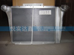 WG9112530237,中冷器,山東傲盛汽車配件有限公司