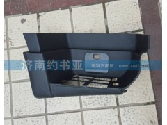 WG1664245010,T5G右踏板,濟(jì)南約書(shū)亞汽車(chē)配件有限公司（原華魯信業(yè)）
