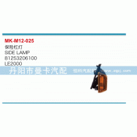 保險(xiǎn)杠燈81253206100