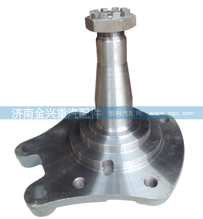 AZ9100413066（3067）,碟剎09款轉(zhuǎn)向節(jié)總成,濟(jì)南聯(lián)樂(lè)汽車零部件有限公司
