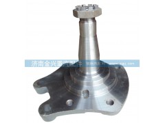 AZ9100413066（3067）,碟剎09款轉(zhuǎn)向節(jié)總成,濟(jì)南聯(lián)樂(lè)汽車零部件有限公司