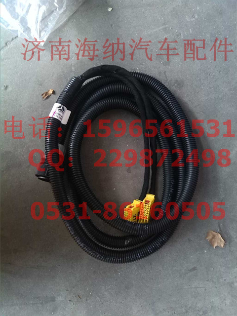 712W25455-6101,AMT底盤電線束,濟南海納汽配有限公司