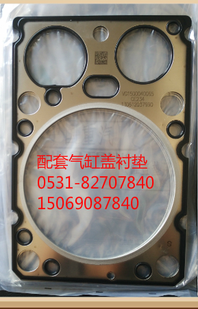 VG1500040065,汽缸墊,濟南瑞隆工貿(mào)重卡動力專營