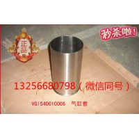 供應VG1540010006重汽豪沃斯太爾金王子發(fā)動機氣缸套