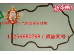 VG1246040023,發(fā)動機氣缸蓋罩密封圈,濟南凱爾特商貿有限公司
