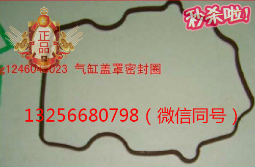 VG1246040023,發(fā)動機氣缸蓋罩密封圈,濟南凱爾特商貿有限公司