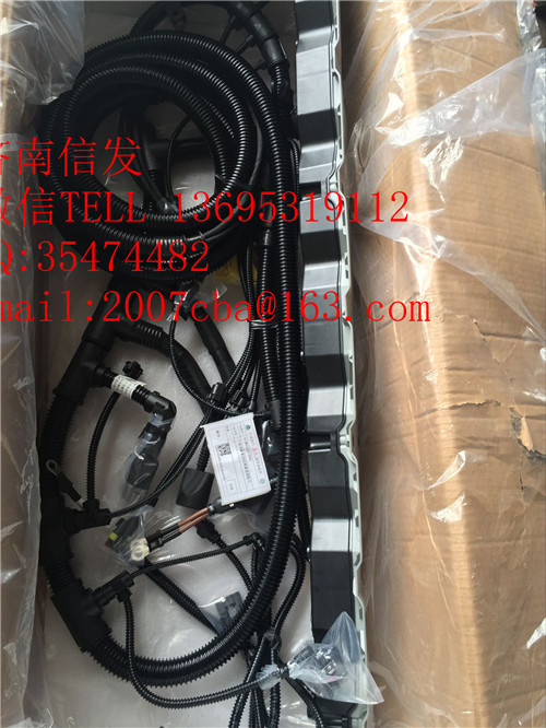 812W25424-6365重汽T7H發(fā)動機線束,812W25424-6365重汽T7H發(fā)動機線束,濟南信發(fā)汽車配件有限公司