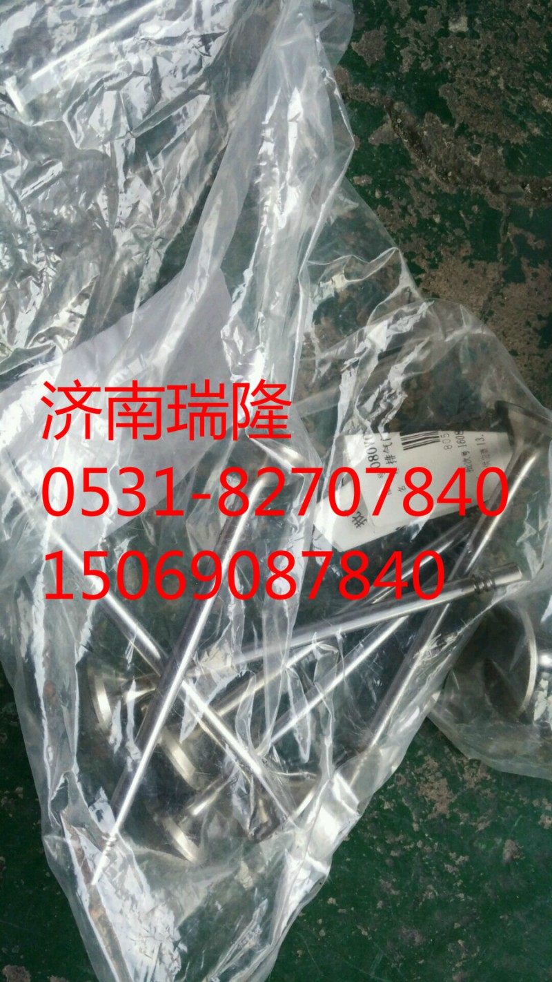 080V04101-0538,排氣門,濟(jì)南瑞隆工貿(mào)重卡動(dòng)力專營(yíng)
