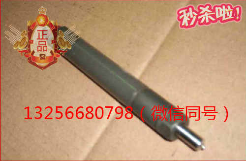 供應(yīng)VG1560080276重汽豪沃斯太爾發(fā)動(dòng)機(jī)噴油器總成/VG1560080276