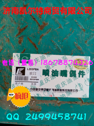 供應(yīng)中國重汽噴油嘴偶件L203PBA 濟南凱爾特/L203PBA