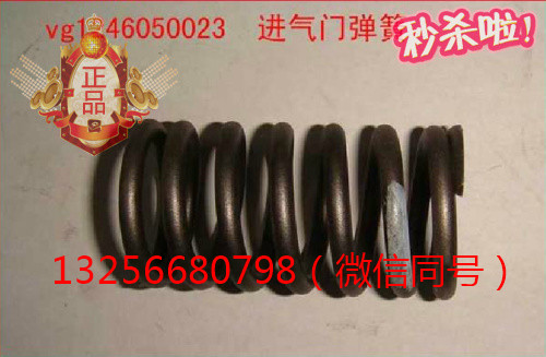 VG1246050023重汽豪沃斯太爾金王子發(fā)動機進氣門彈簧/VG1246050023