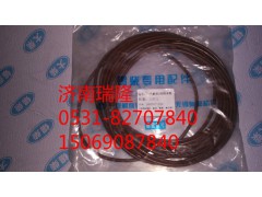 1002017-29D,錫柴29D阻水圈,濟(jì)南瑞隆工貿(mào)重卡動(dòng)力專營