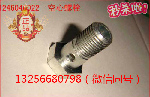 VG1246040022,發(fā)動(dòng)機(jī)缸蓋放氣管空心螺栓,濟(jì)南凱爾特商貿(mào)有限公司