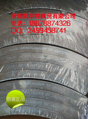 重汽豪沃后制動(dòng)剎車片14孔 濟(jì)南凱爾特/WG9231342069