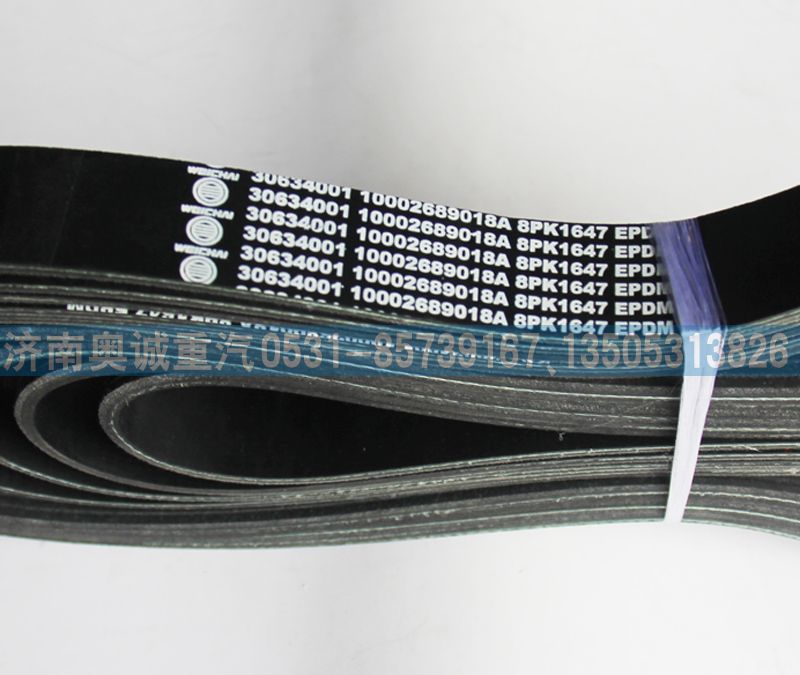8PK1647 0002689018A,皮帶,濟南國盛汽車配件有限公司(原奧誠)