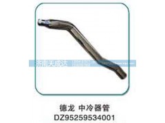 DZ95259534001,中冷器管,濟(jì)南天成達(dá)汽車配件有限公司
