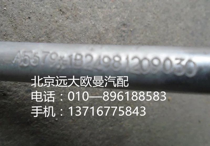 1B24981209030,儲—蒸管路總成,北京遠(yuǎn)大歐曼汽車配件有限公司