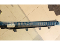 WG9525930102,保險杠格柵,濟南權御進出口有限公司
