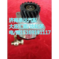 大連匯圓配套濰柴WP10發(fā)動(dòng)機(jī)/轉(zhuǎn)向齒輪泵/轉(zhuǎn)向泵