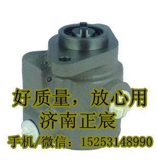 1118834001030,轉(zhuǎn)向助力泵/葉片泵/齒輪泵/巨力泵,濟(jì)南正宸動(dòng)力汽車(chē)零部件有限公司