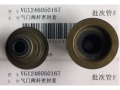 VG1246050167,氣門油封 D12天然氣,濟南市威沃汽車用品有限公司