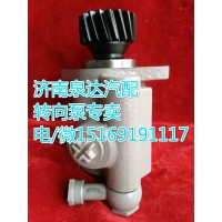 陜汽奧龍/德龍轉向助力葉片泵DZ93319130001
