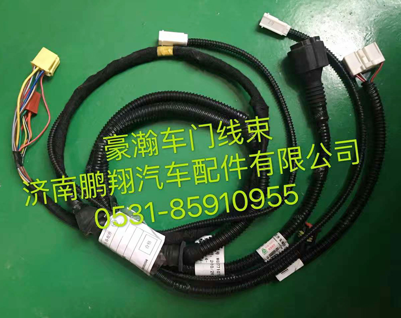 ,豪翰車(chē)門(mén)線(xiàn)束,濟(jì)南鵬翔汽車(chē)配件有限公司