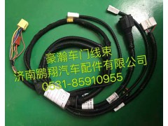 ,豪翰車(chē)門(mén)線(xiàn)束,濟(jì)南鵬翔汽車(chē)配件有限公司