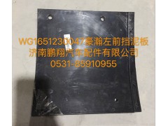 WG1651230047,豪瀚前擋泥皮,濟南鵬翔汽車配件有限公司