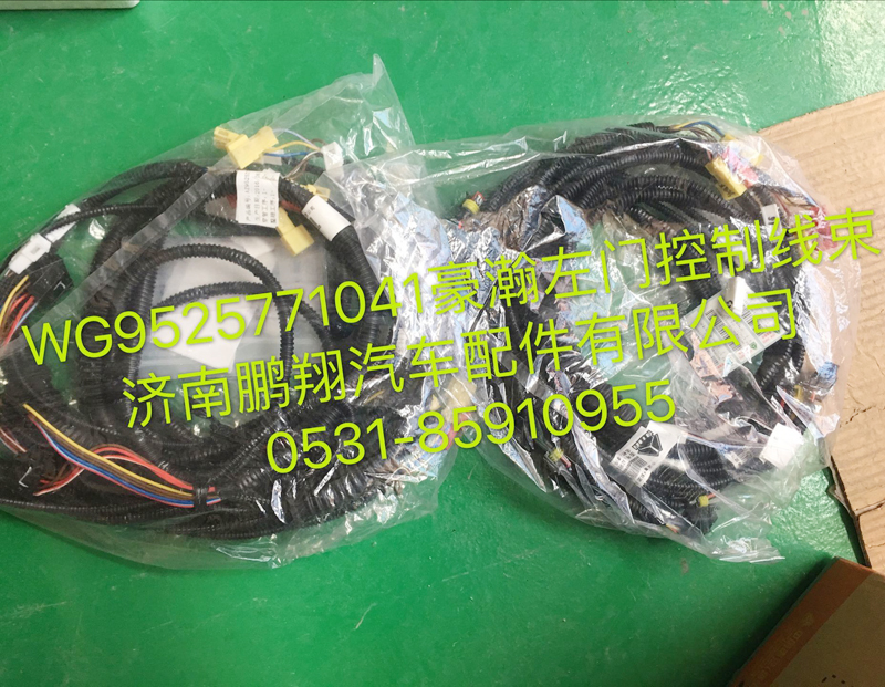 WG9525771041,豪瀚左車門線束,濟(jì)南鵬翔汽車配件有限公司